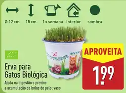 ALDI Erva para Gatos Biológica promoção