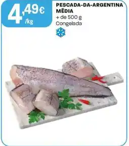 Intermarché Pescada-da-argentina média + de 500 g congelada promoção
