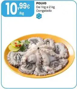 Intermarché Polvo promoção