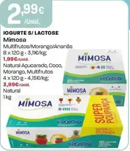 Intermarché Iogurtes/lactose mimosa promoção