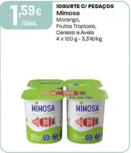Intermarché Iogurte c/ pedaços mimosa promoção