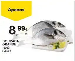 Continente Dourada grande promoção