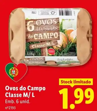Ovos do Campo Classe M/L