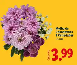 Lidl Molho de Crisântemos 4 Variedades promoção
