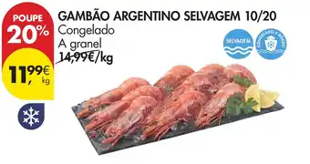 Gambão argentino selvagem