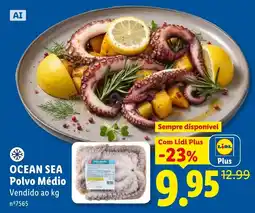 Lidl Ocean Sea Polvo Médio promoção