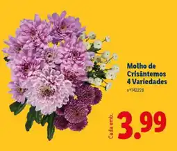 Lidl Molho de Crisântemos 4 Variedades promoção