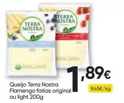 Froiz Queijo Terra Nostra Flamengo fatias original ou light promoção