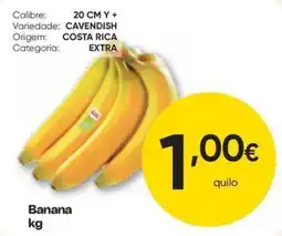 Froiz Banana promoção