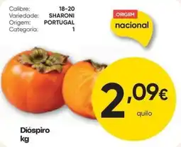 Froiz Dióspiro promoção