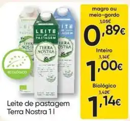 Froiz Leite de pastagem Terra Nostra 1l promoção