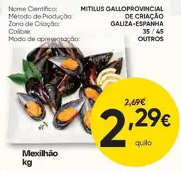 Froiz Mexilhão promoção