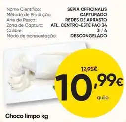 Froiz Choco limpo kg promoção