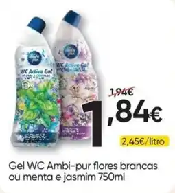 Froiz Gel wc ambi-pur flores brancas ou menta e jasmim promoção