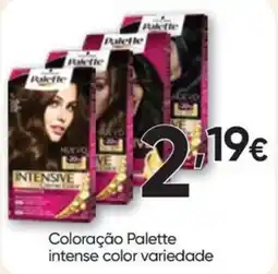 Froiz Coloração Palette intense color variedade promoção