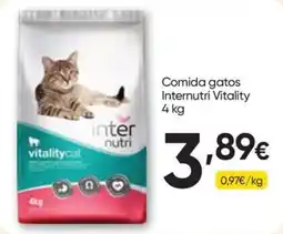 Froiz Comida gatos Internutri Vitality promoção