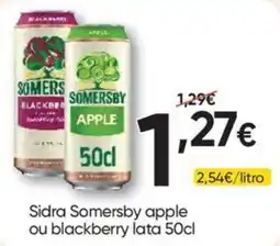 Froiz Sidra Somersby apple ou blackberry lata 50cl promoção