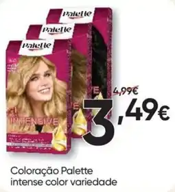 Froiz Coloração Palette intense color variedade promoção