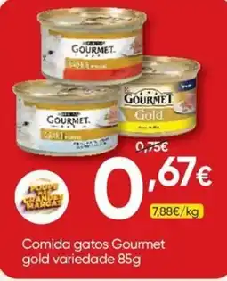 Froiz comida gatos gourmet gold promoção