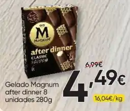 Froiz gelado magnum after dinner promoção