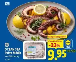 Lidl com - ocean sea polvo medio promoção
