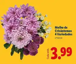 Lidl Molho de cristantemos 4 variedades promoção
