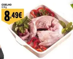 Neomáquina Coelho promoção