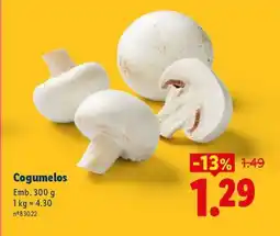 Lidl COGUMELOS promoção