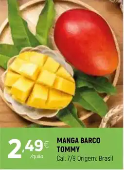 Coviran Manga barco tommy promoção