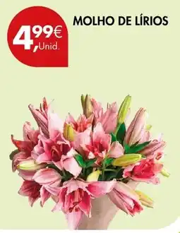 Pingo Doce molho de lírios promoção