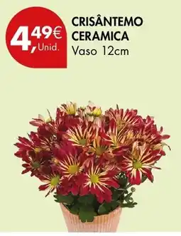 Pingo Doce Crisântemo cerâmica promoção