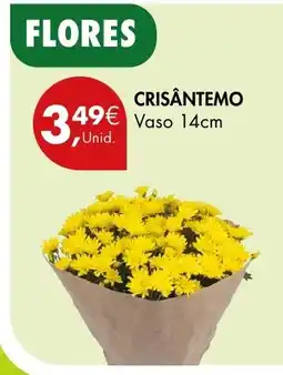 Pingo Doce Crisântemo promoção