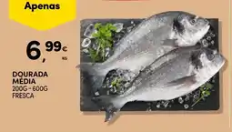 Continente Dourada média promoção