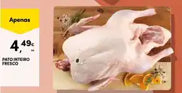 Continente Pato inteiro fresco promoção