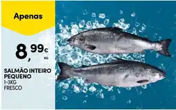 Continente Salmão inteiro pequeno promoção