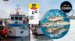 Continente Carapau médio/pequeno fresco promoção