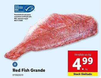 Lidl Red Fish Grande promoção