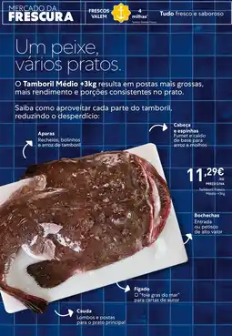 Recheio Tamboril fresco medio promoção