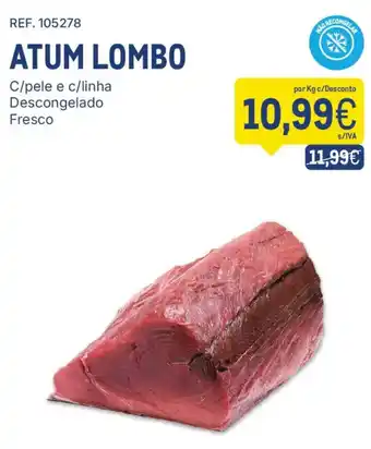 Atum lombo