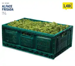 Makro Alface frisada promoção