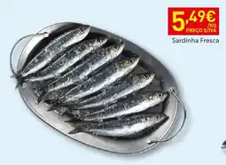 Recheio Sardinha Fresca promoção