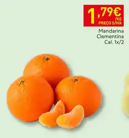 Recheio Mandarina Clementina promoção