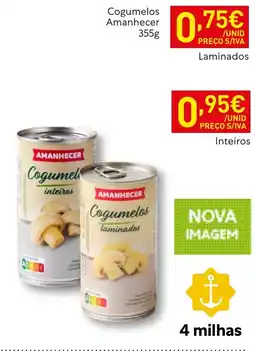 Recheio Cogumelos amanecer laminados promoção