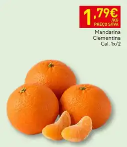 Recheio Mandarina Clementina promoção