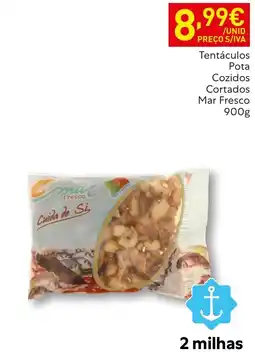Recheio mac fresco tentáculos pota cozidos cortados mar fresco promoção