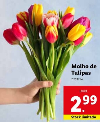 Lidl Molho de Tulipas promoção
