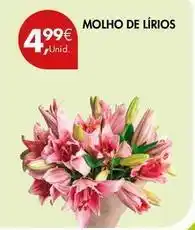 Pingo Doce Molho de lirios promoção