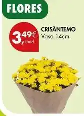 Pingo Doce Crisantemo promoção