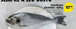 Pingo Doce Aquacultura - dourada grande +800g promoção