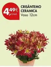 Pingo Doce Crisantemo ceramica promoção